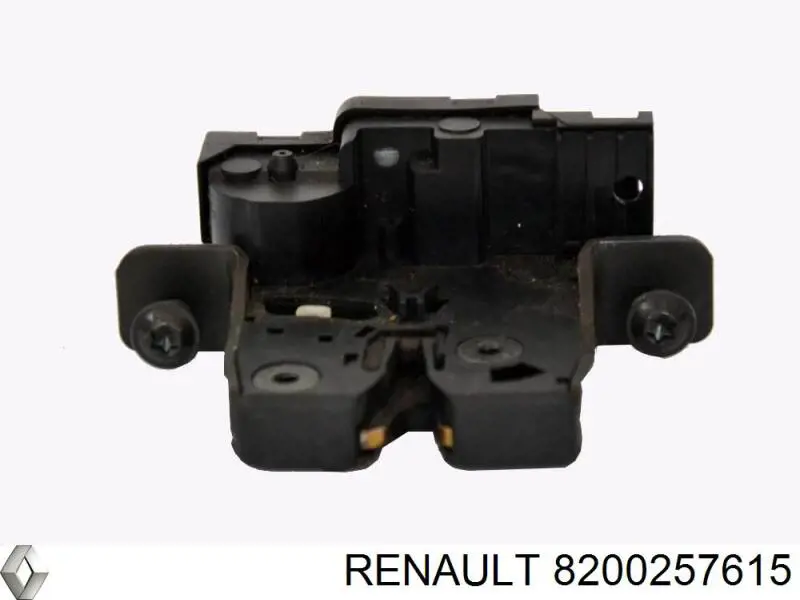 8200257615 Renault (RVI)