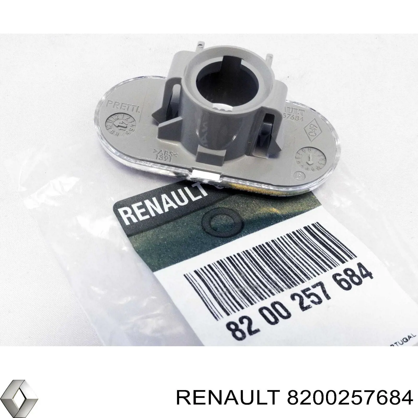 8200257684 Renault (RVI) Luz intermitente guardabarros