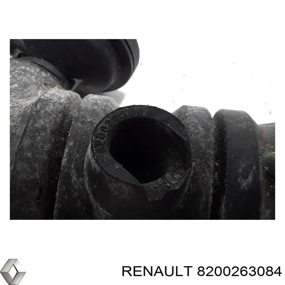 8200263084 Renault (RVI)