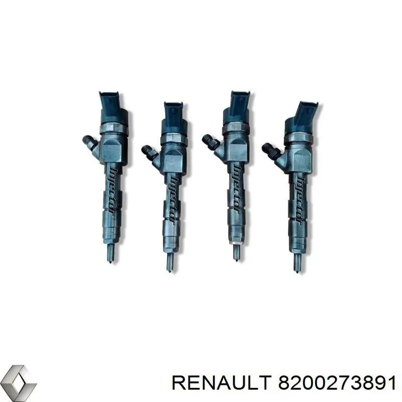 8200273891 Renault (RVI) inyector