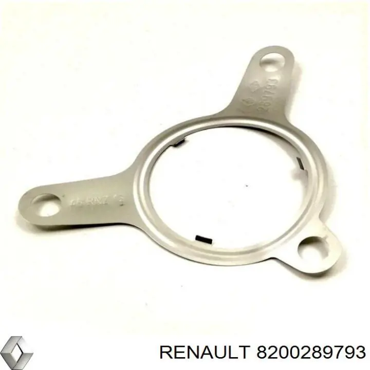 1471900QAD Renault (RVI) junta de válvula egr