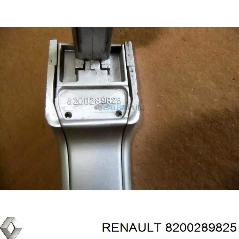 8200289825 Renault (RVI) Soporte de manija exterior de puertas izquierdas