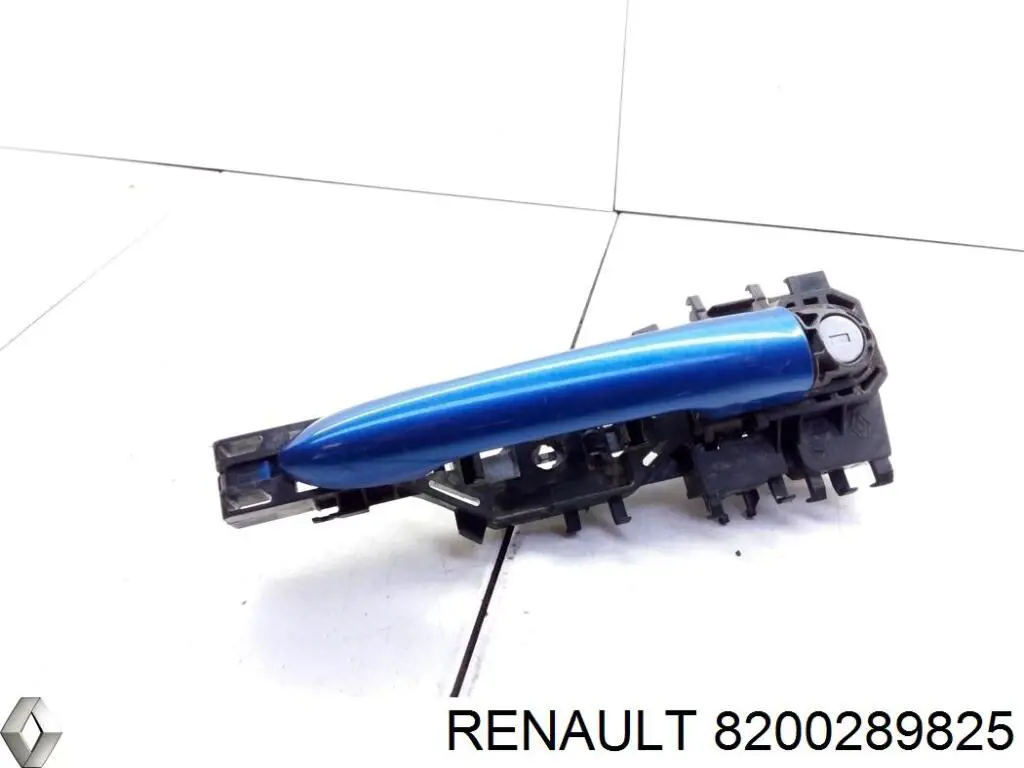 8200289825 Renault (RVI)