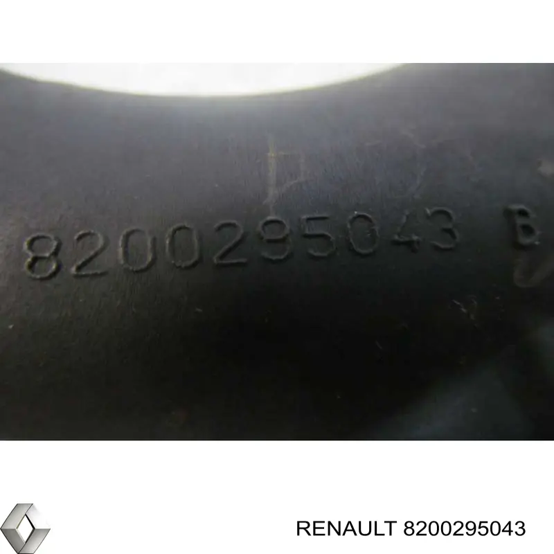 8200295043 Renault (RVI)