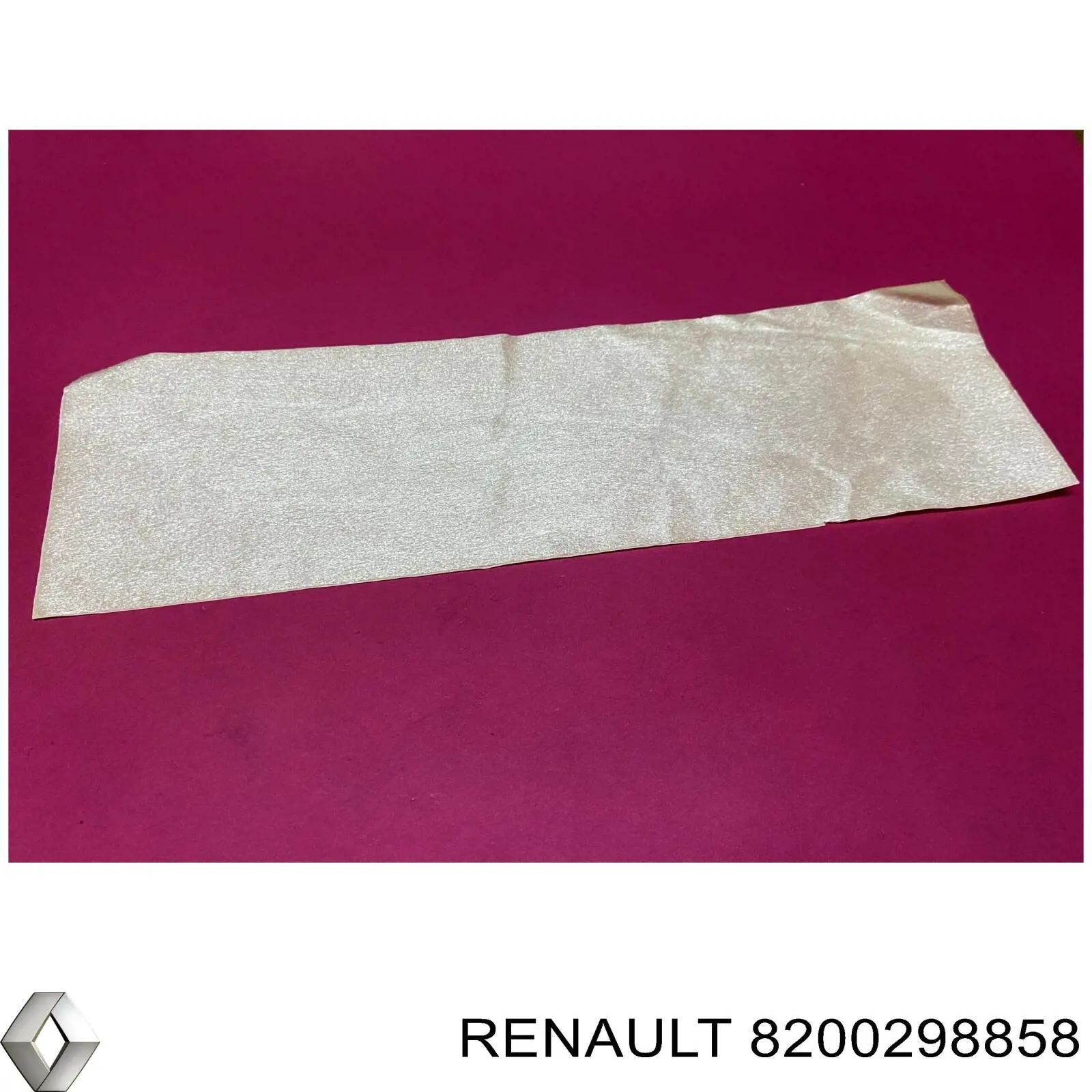  Renault (RVI) 8200298858 precio, desde 10,88 EUR
