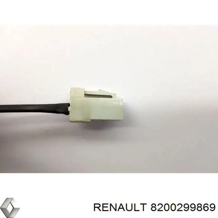  8200299869 Renault (RVI)