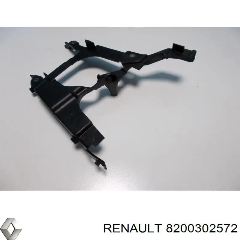 8200302572 Renault (RVI)