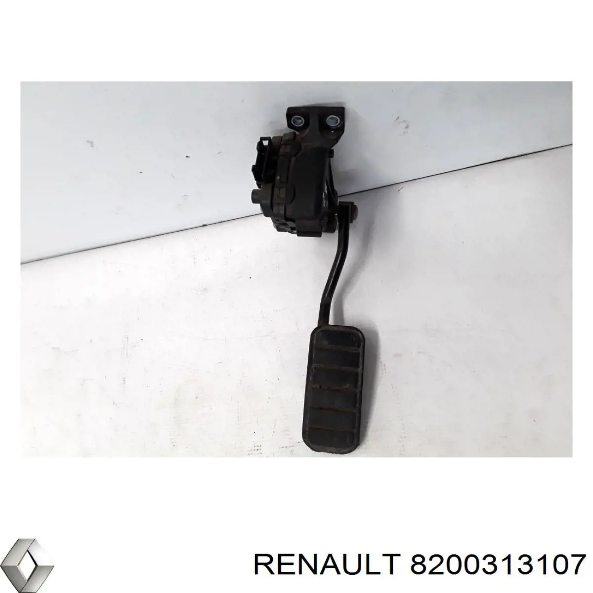 8200313107 Renault (RVI)