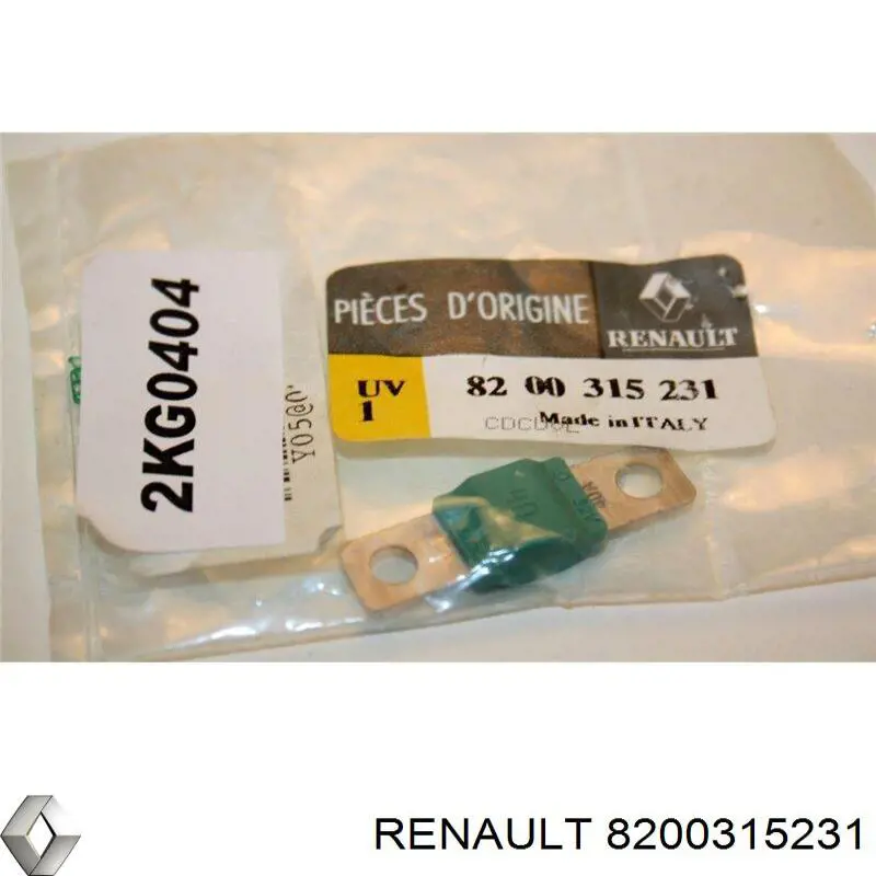 8200315231 Renault (RVI) fusible