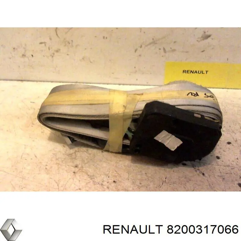 8200317066 Renault (RVI)