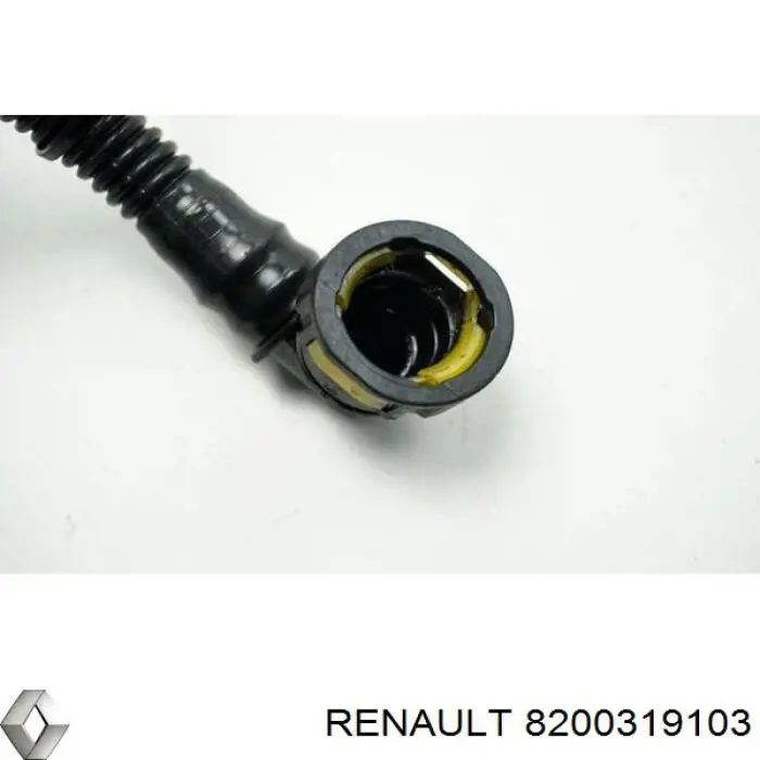 8200319103 Renault (RVI)