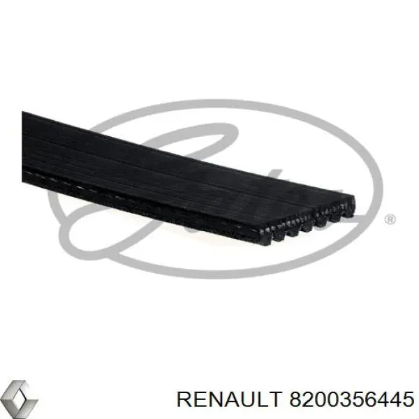 8200356445 Renault (RVI) correa trapezoidal