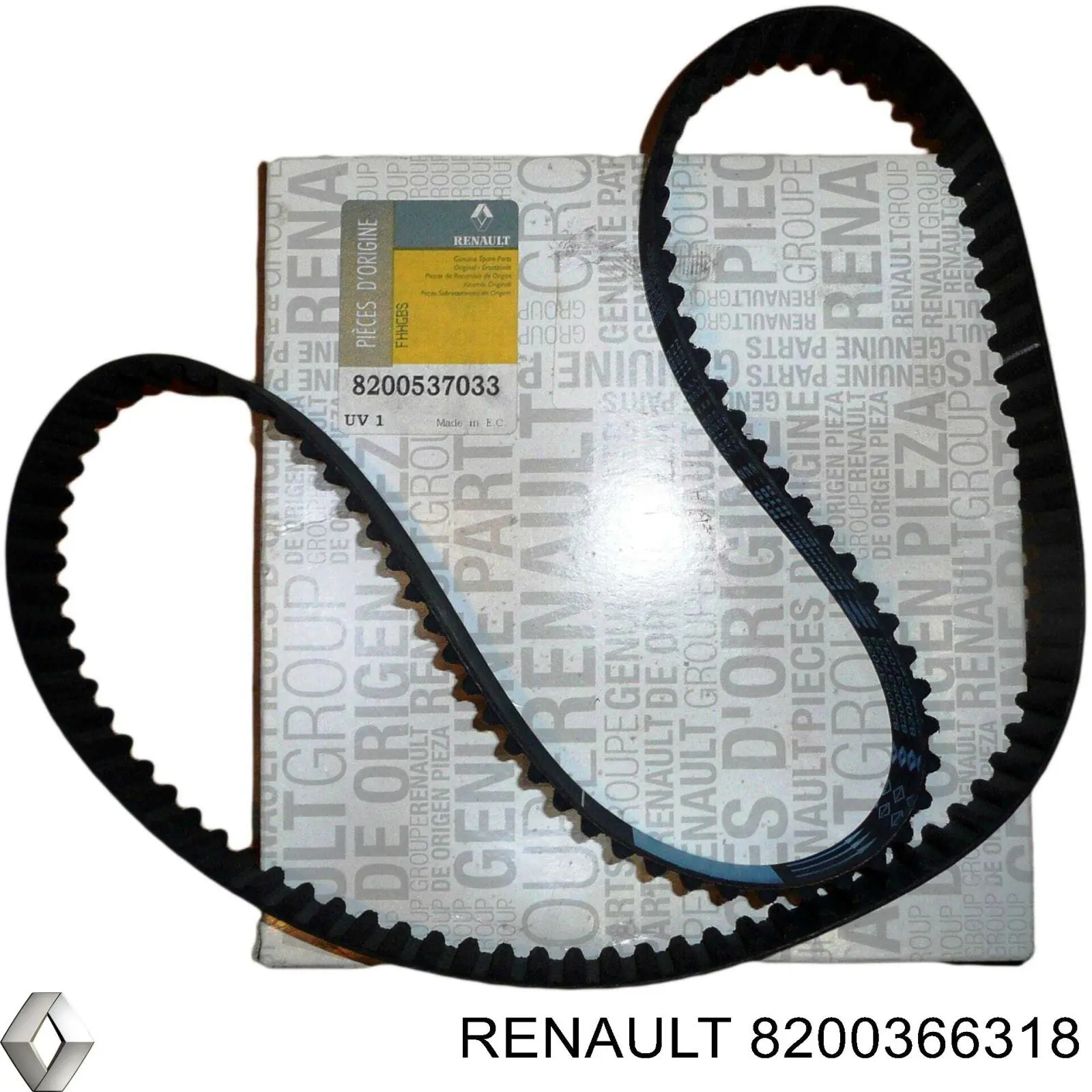 Correa distribucion Nissan Qashqai 1 J10