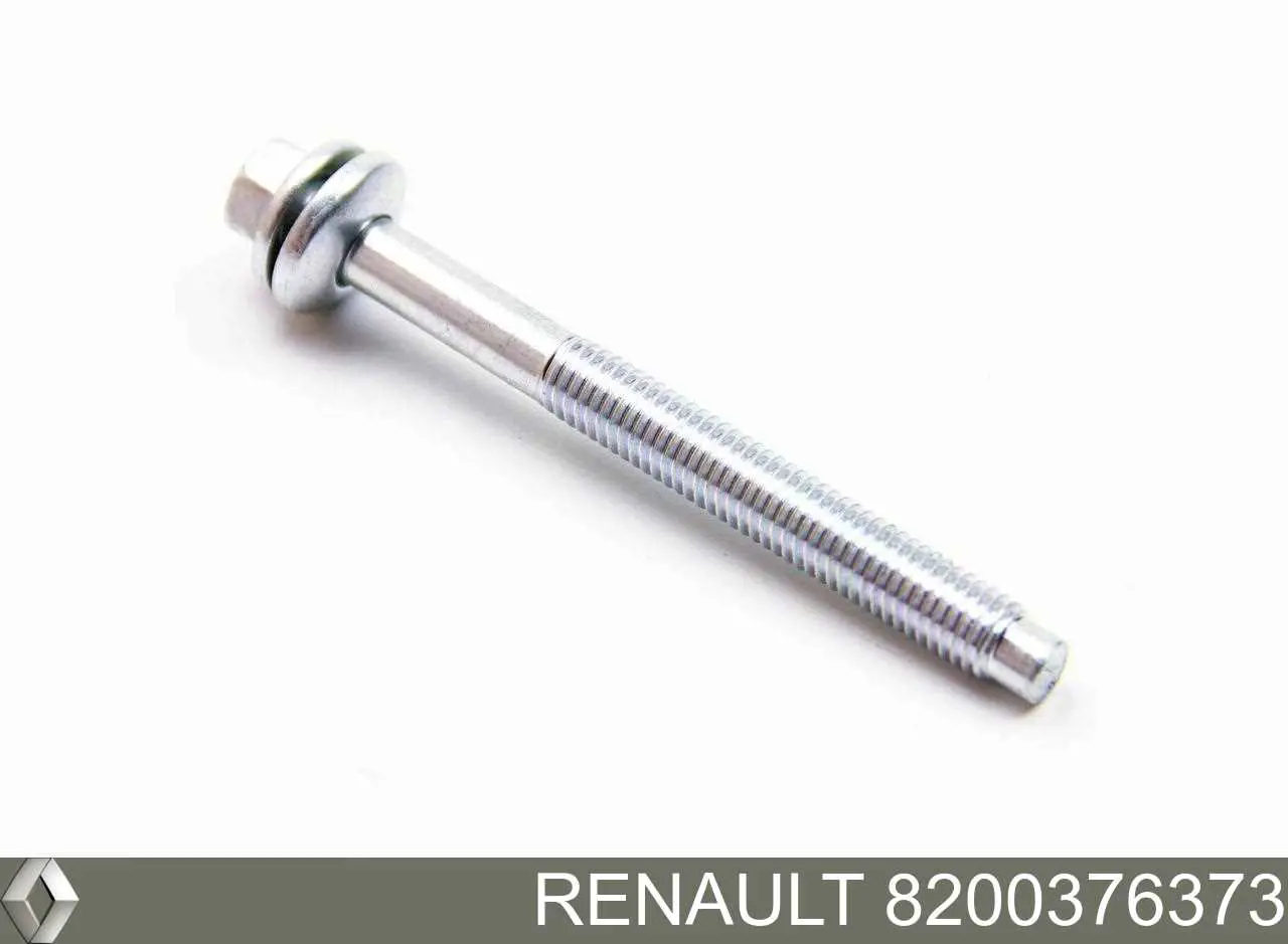 Tornillo de fijación del inyector Renault (RVI) 8200376373 precio, desde 3,76 EUR