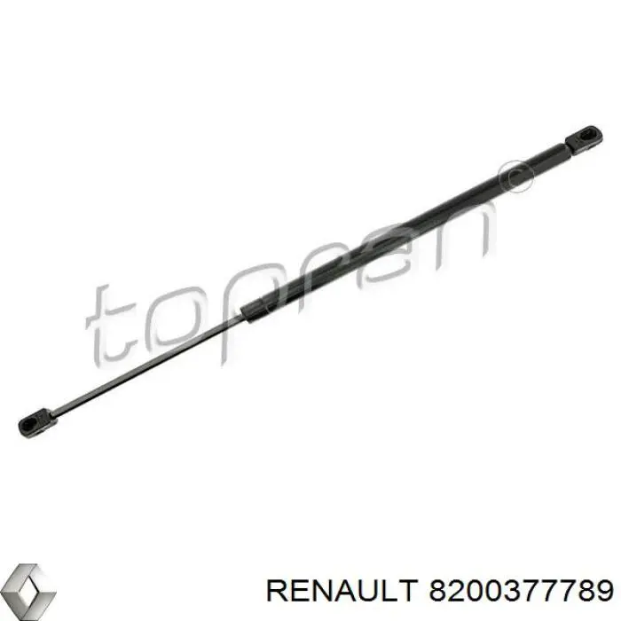8200377789 Renault (RVI) amortiguador maletero