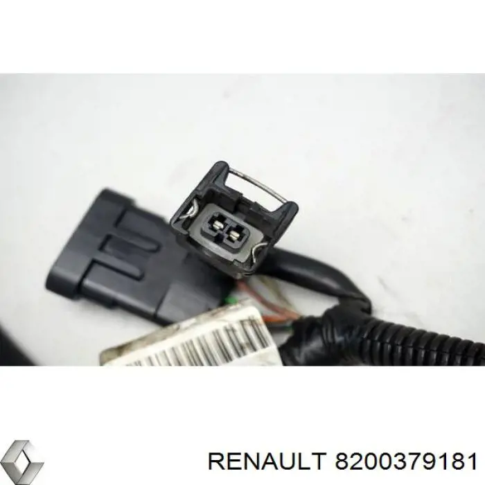  8200379181 Renault (RVI)