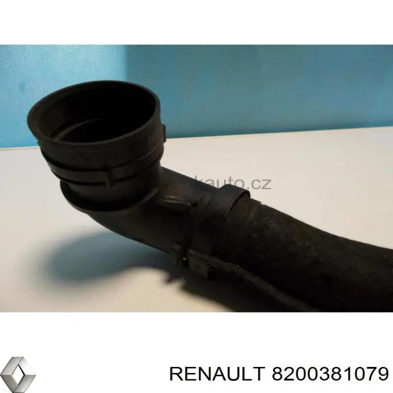 Tubo de admisión de aire, entrada del filtro de aire Renault (RVI) 8200381079 precio, desde 46,46 EUR