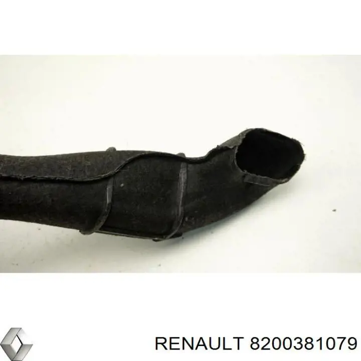 Comprar 8200381079 Renault (RVI) Tubo flexible de aspiración