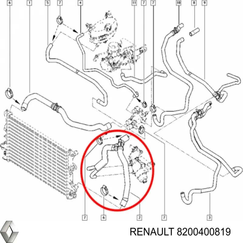 Comprar 8200400819 Renault (RVI) Manguera inferior del radiador