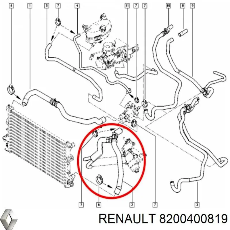 8200400819 Renault (RVI) manguera refrigerante para radiador inferiora