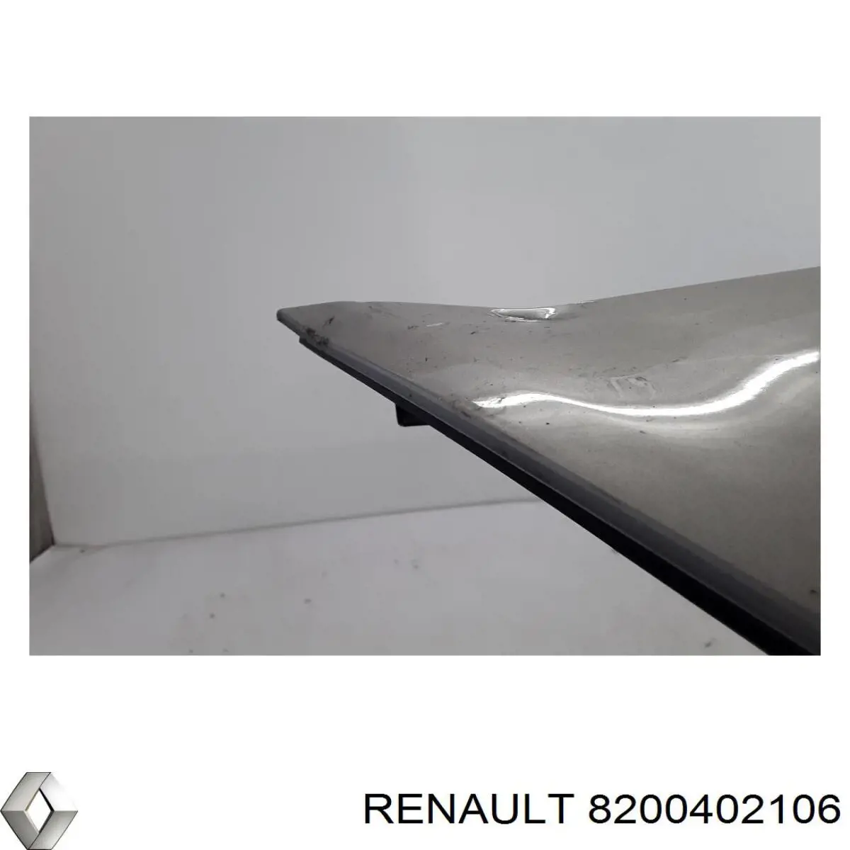 Parachoques Renault (RVI) 8200402106