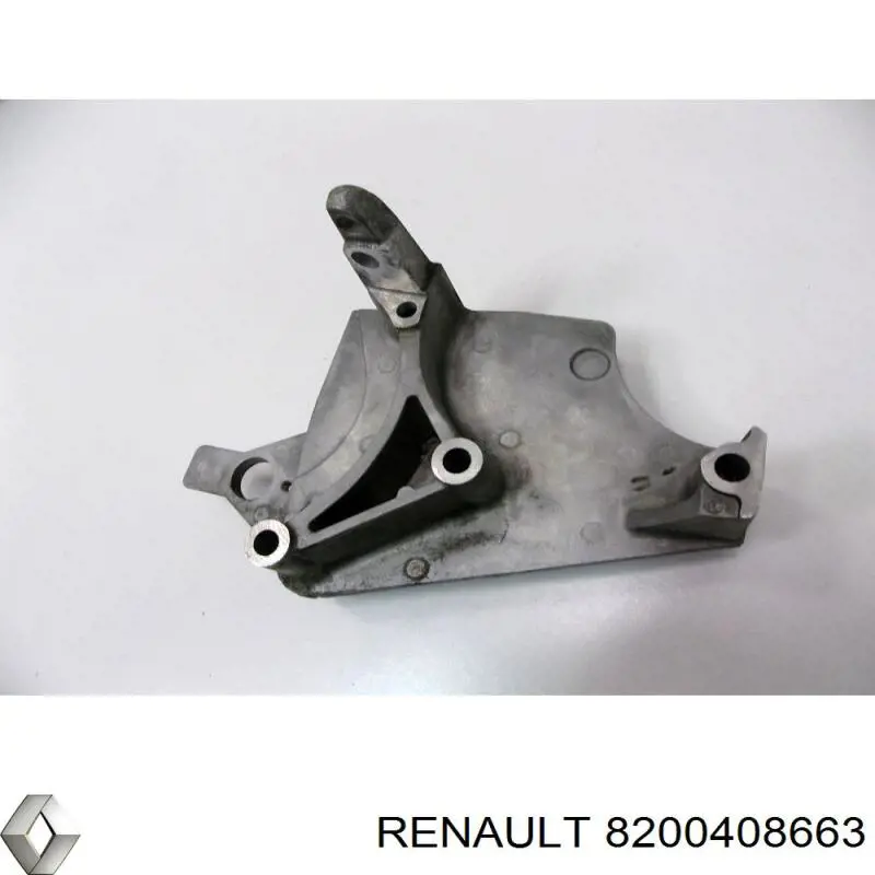 8200408663 Renault (RVI)