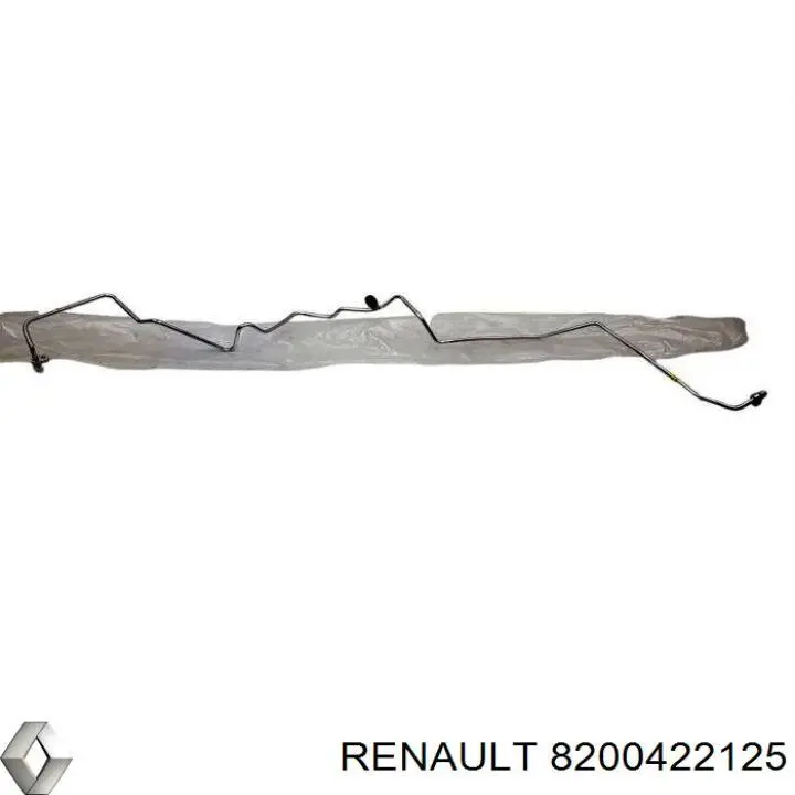 8200422125 Renault (RVI)