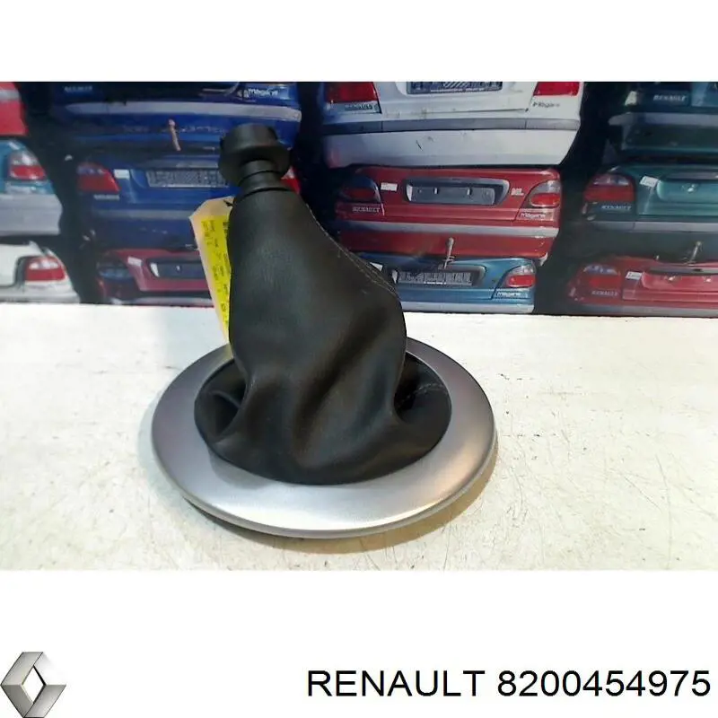  Renault (RVI) 8200454975 precio, desde 13,37 EUR