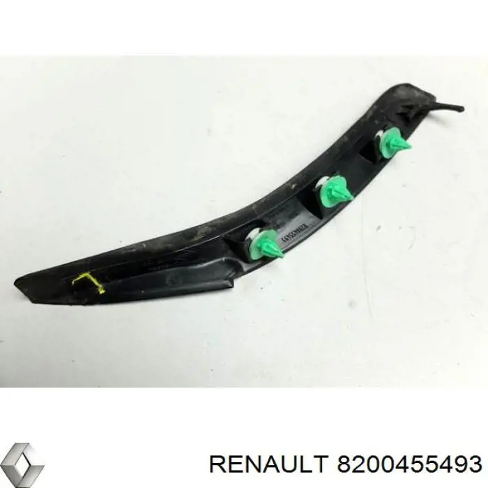 8200455493 Renault (RVI)