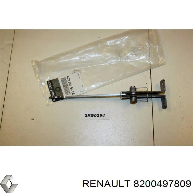 Comprar 8200497809 Renault (RVI) Limitador de apertura de puerta trasera