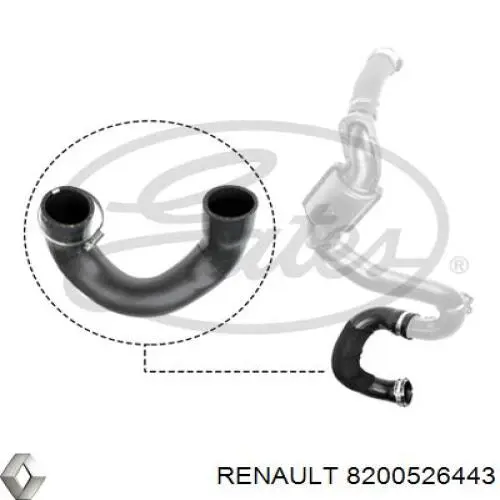 8200526443 Renault (RVI) tubo flexible de aire de sobrealimentación