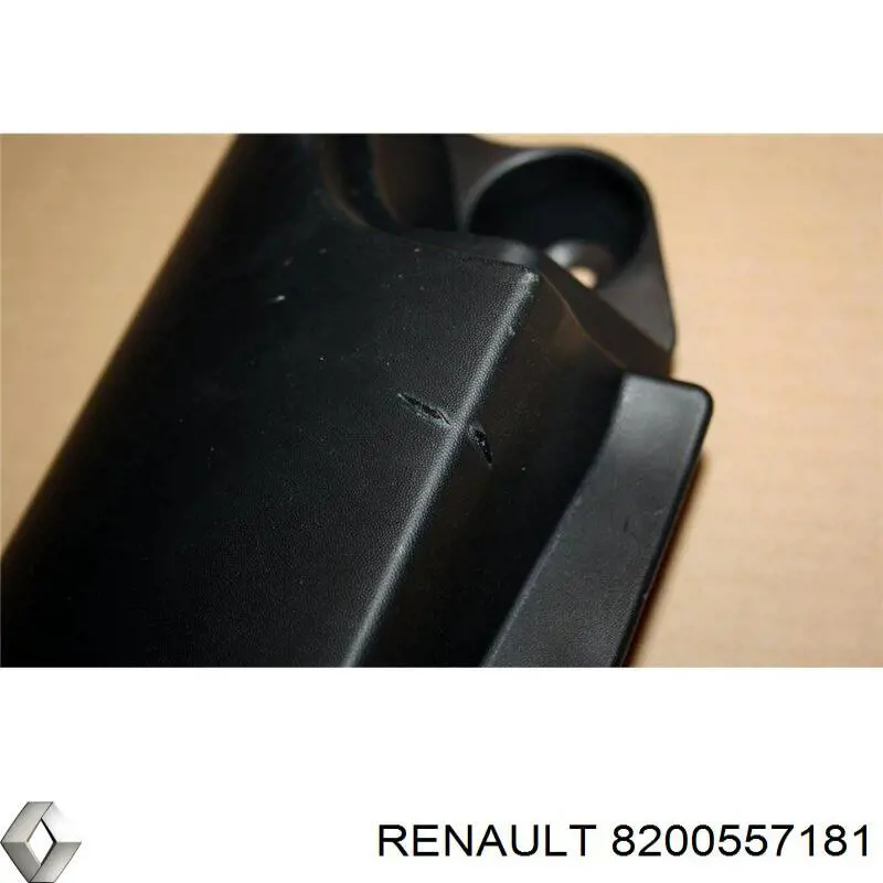  Renault (RVI) 8200557181 precio, desde 39,20 EUR