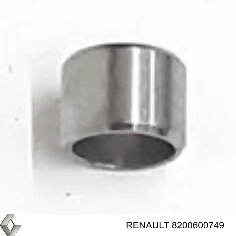 Buje del conducto de aceite del bloque de cilindros Renault (RVI) 8200600749 precio, desde 11,44 EUR
