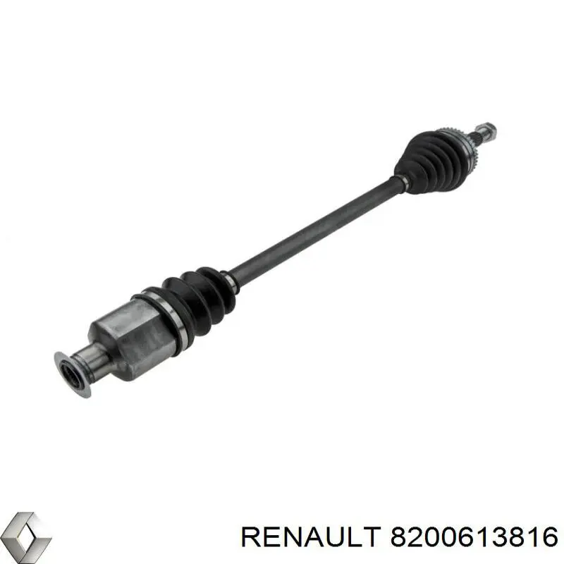 8200613816 Renault (RVI)