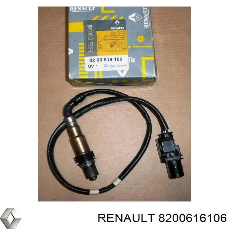 8200616106 Renault (RVI)