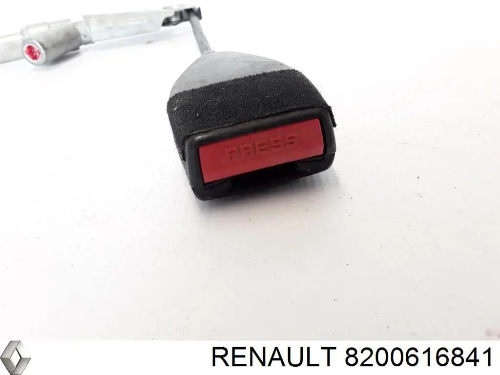 8200616841 Renault (RVI)