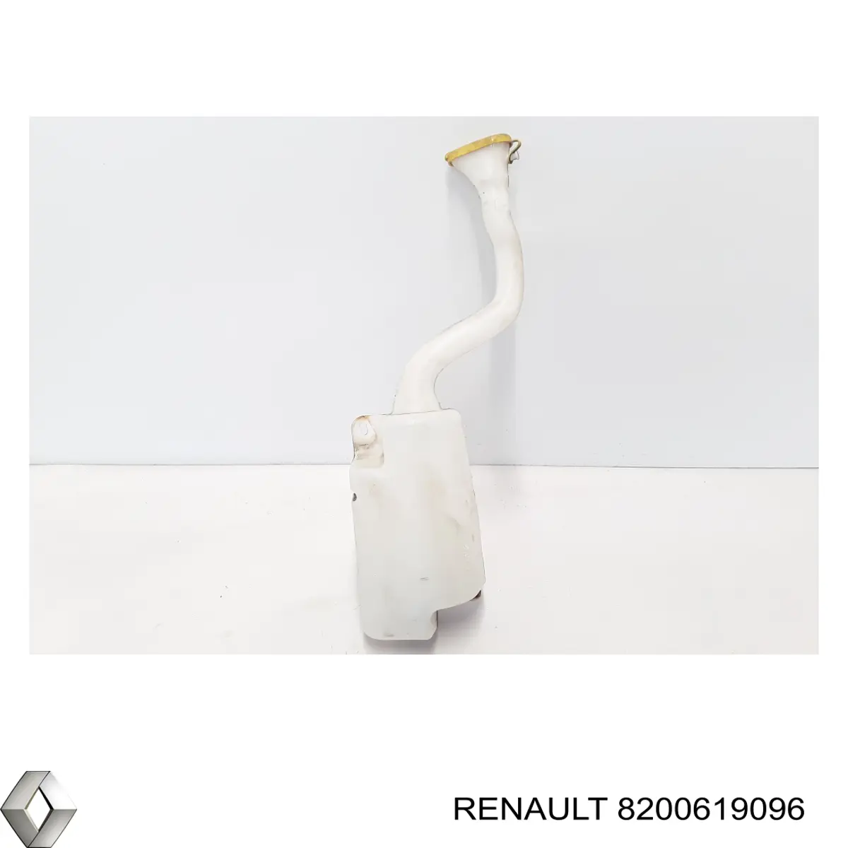 8200619096 Renault (RVI)