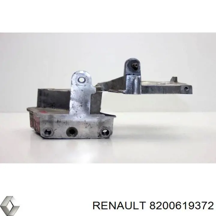 8200619372 Renault (RVI)