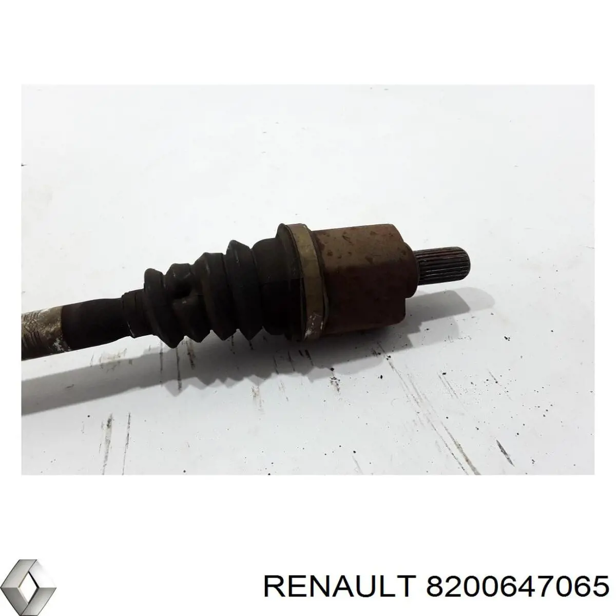 8200647065 Renault (RVI)