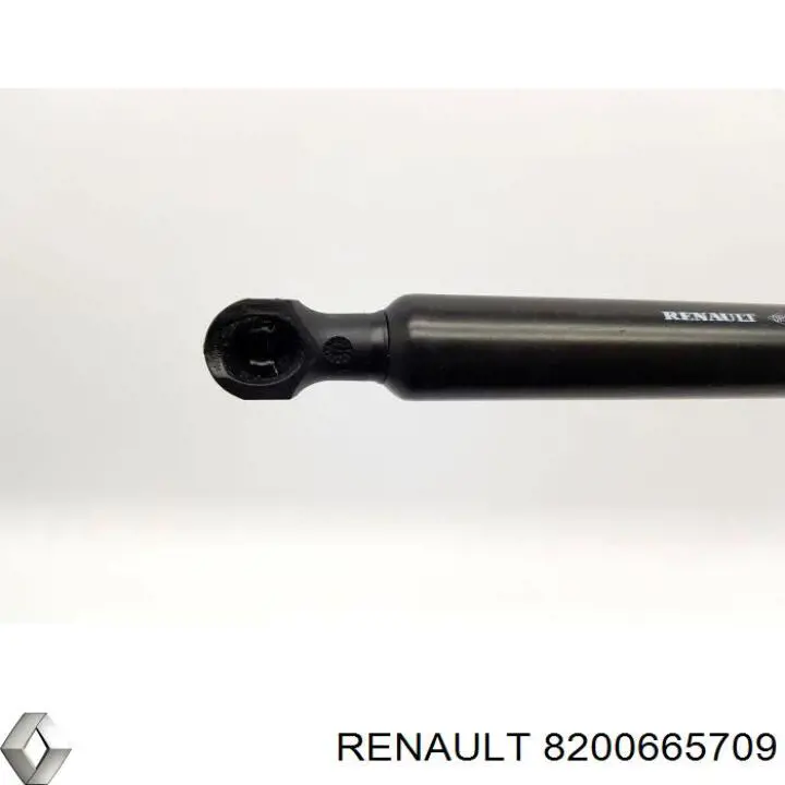 8200665709 Renault (RVI) Amortiguador de porton