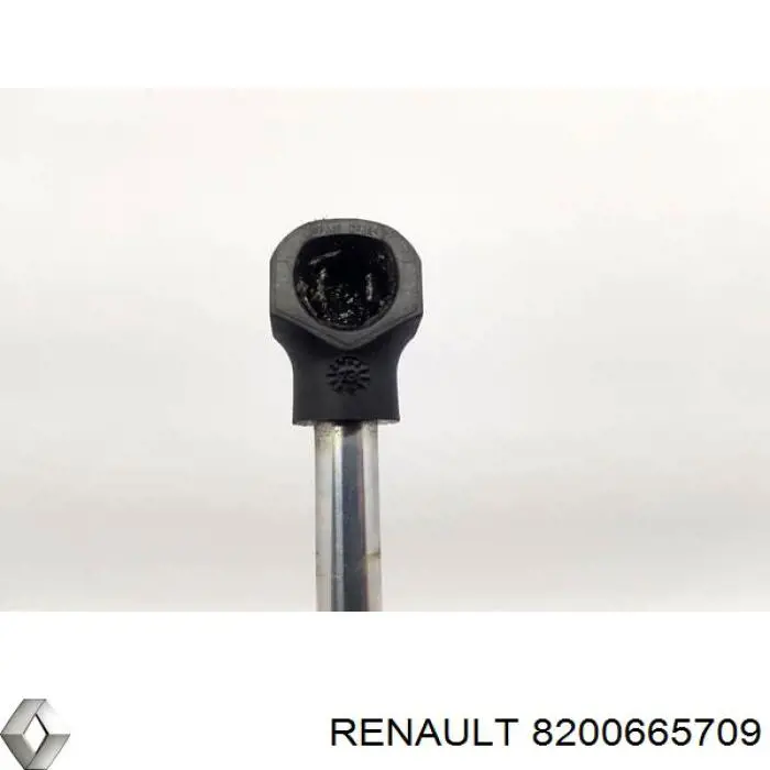 Amortiguador maletero 8200665709 Renault (RVI)