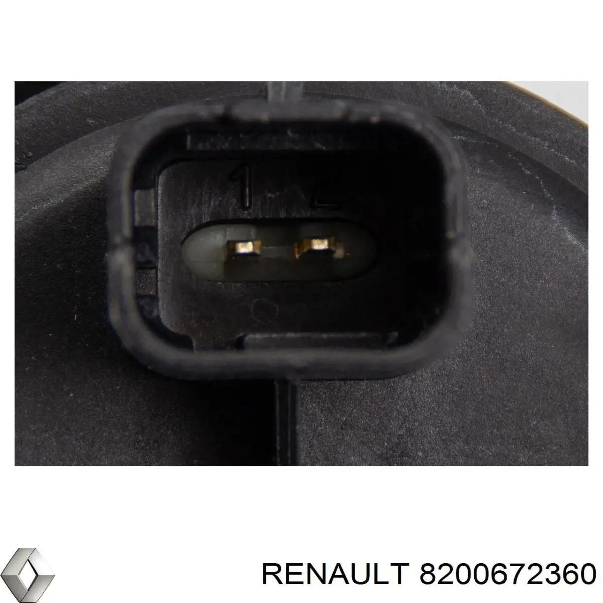 Canister EVAP Renault Clio SYMBOL