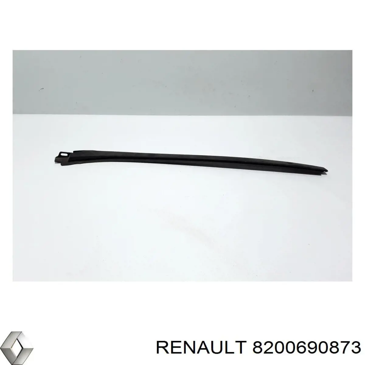 8200690873 Renault (RVI)