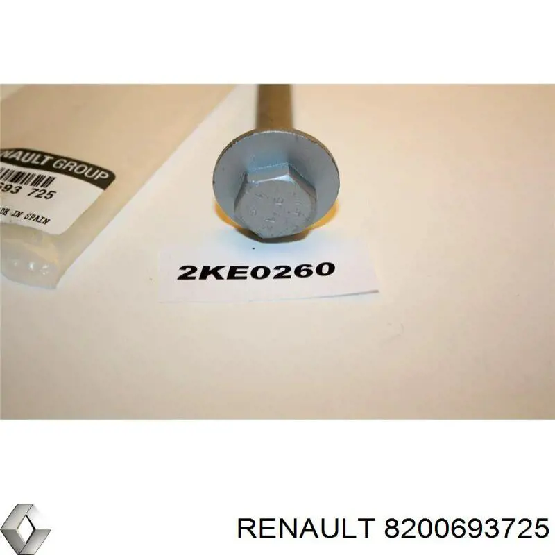 Perno de fijación, Subchasis trasero para Renault Kangoo (FC0)