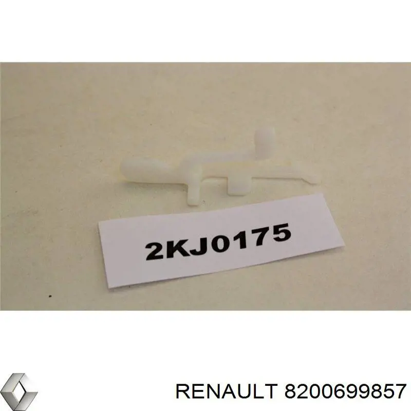 8200699857 Renault (RVI)