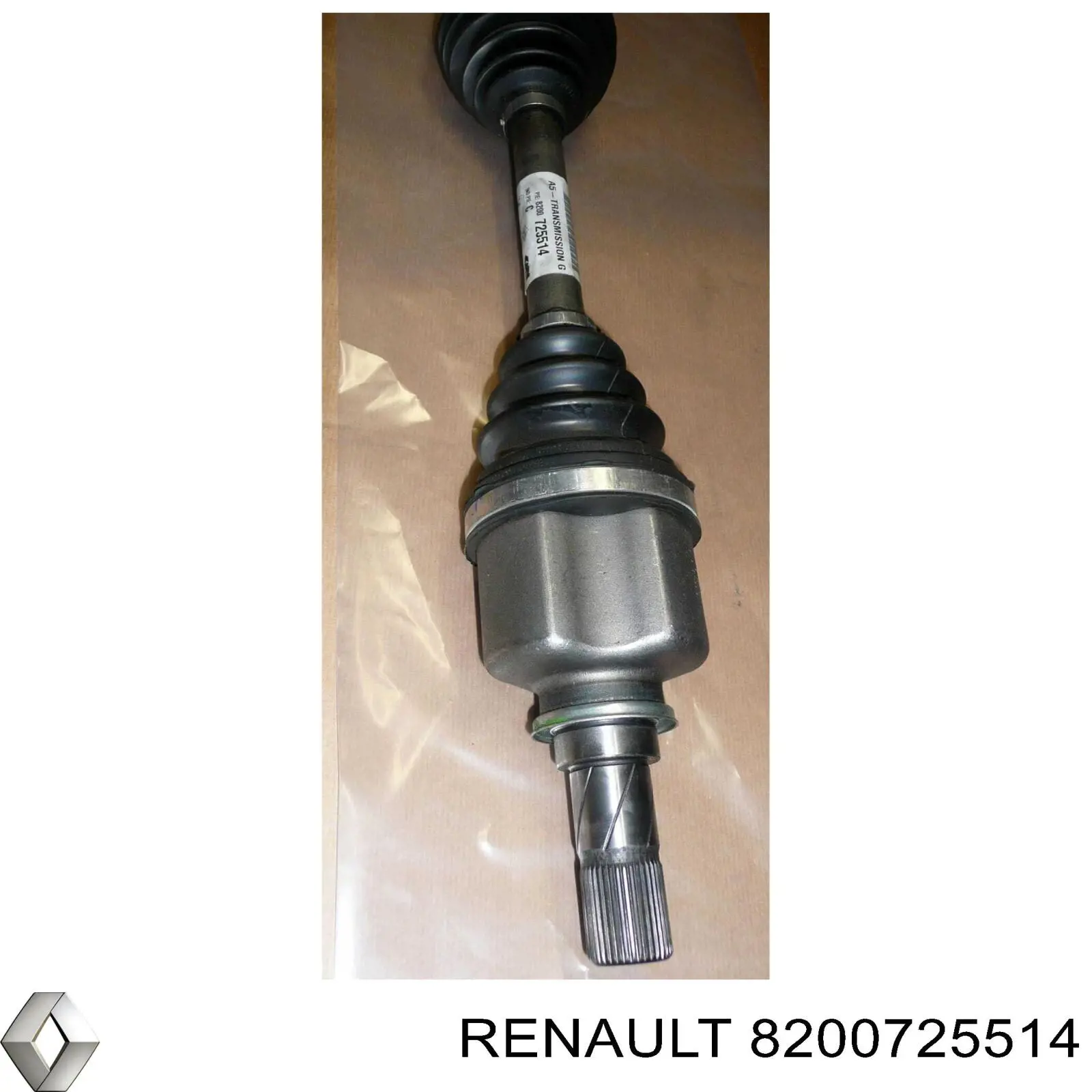  OJK55001 SNR
