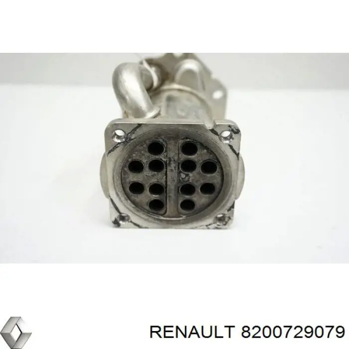  Renault (RVI) 8200729079 precio, desde 34,85 EUR