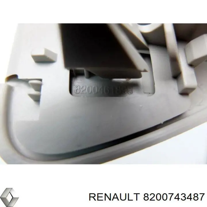 8200743487 Renault (RVI)