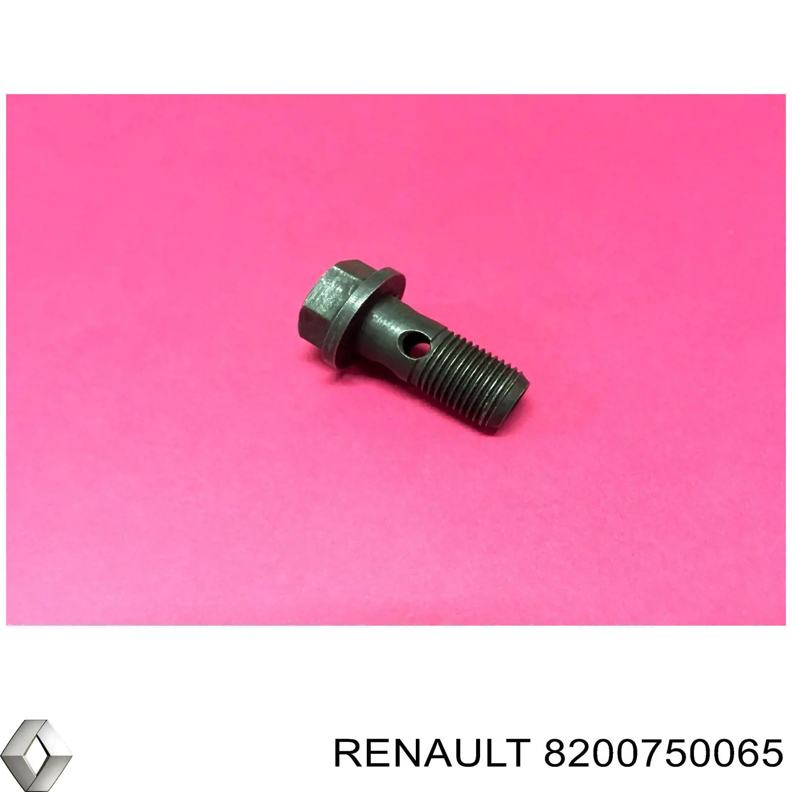8200750065 Renault (RVI) perno de tubo de turbina de aceite