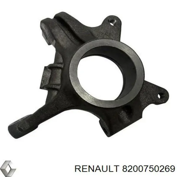 Mangueta delantera derecha Renault (RVI) 8200750269 precio, desde 64,98 EUR